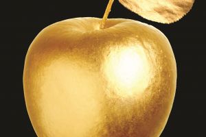 Golden apple paid 14 cred