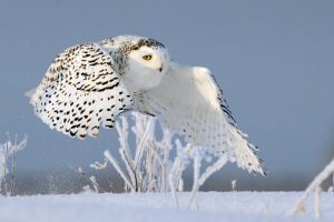 Istock-1765835850